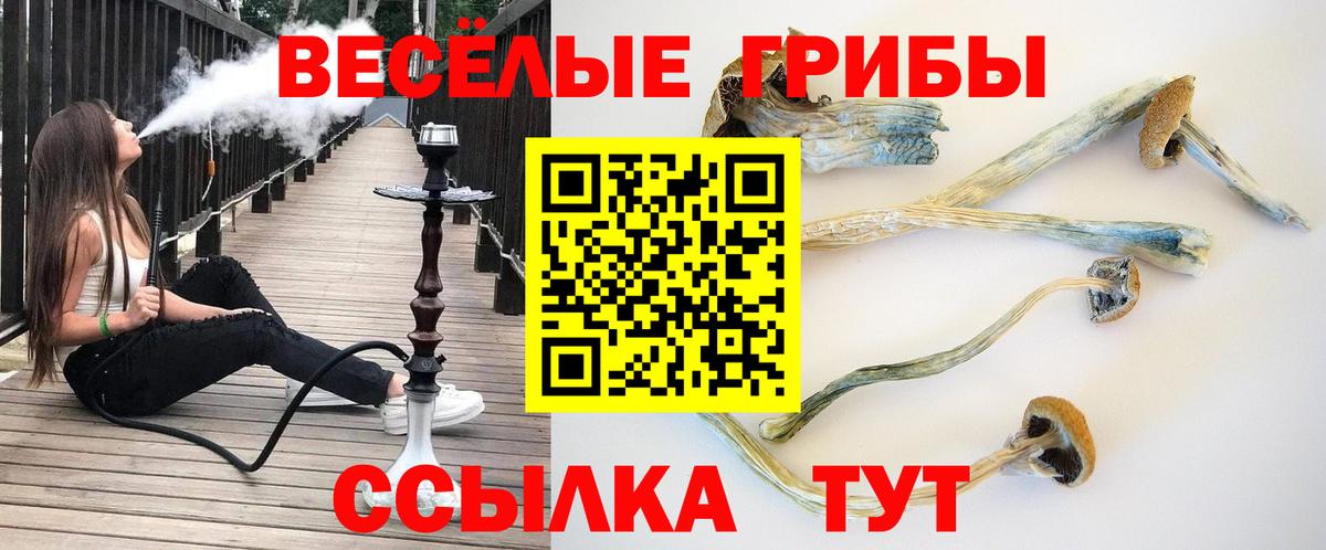 Галлюциногенные грибы GOLDEN TEACHER Дербент
